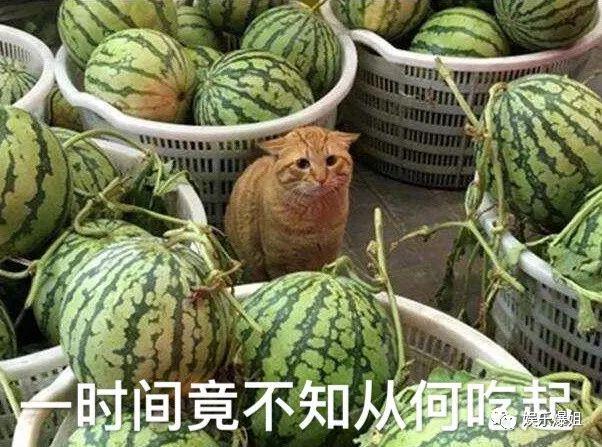 【2023121】爆姐的饭后爆料：生命不止爆料不息！(图2)