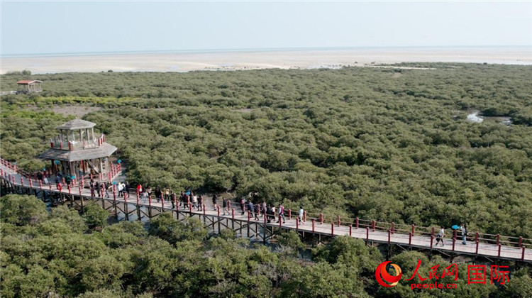 走进多彩广西 探寻魅力中国--国际--人民网(图1)